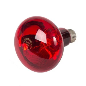 Infrarotlampe, Infrarotbirne, Wärmelampe, Wärmelampe für Küken 100 Watt (41219) - Bild 1 von 1