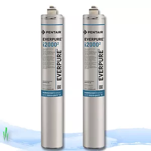 Cartuccia filtro acqua Everpure i2000 EV9612-27 per macchine del ghiaccio confezione da 2 - Foto 1 di 1