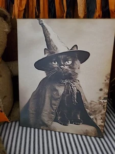STEAMPUNK PRIMITIV VINTAGE GOTHIC STIL HALLOWEEN FOTO HEXE KATZE HUT UMHANG SCHILD - Bild 1 von 11