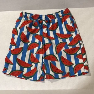 Hanna Andersson Boys Watermelon Print Swim Trunks Shorts Sz 140 - Picture 1 of 4