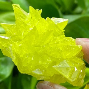 19,7 g seltene natürliche gelbe Schwefel Kristall Quarz Kristall Mineral Probe - Bild 1 von 6