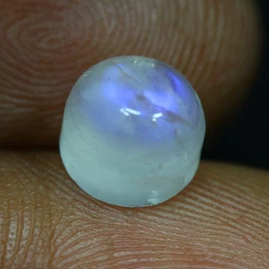 2.25 Cts_Great Electric Blue Shadow_100 % Natural Unheated Blue Moonstone_India - Bild 1 von 3