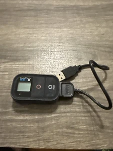 Videocámara GOPRO ACTION SPORTS ARMT-001 Wifi Control Remoto con Cable de Carga - Imagen 1 de 1