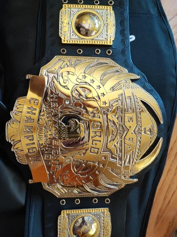 Beautiful NEW 24K Zinc Real Leather 4.2mm Replica"TNA"  World Championship Belt Cover