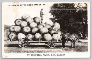 Vtg/Atq Post Card A Load of Extra Apples at Campbell River B. C. Canada L86 - Picture 1 of 2