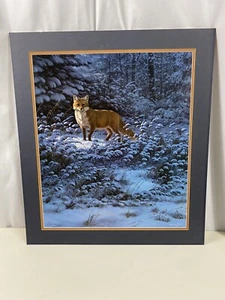 Impresión artística de vida silvestre de zorro rojo de Harry Antis firmada con defectos - Imagen 1 de 15