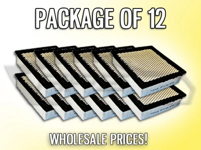 FILTRO DE AIRE AF5192 PARA FORD EXPLORER 1999 2000 2001 PAQUETE DE 12 - VENTA AL POR MAYOR Foto 1 de 2