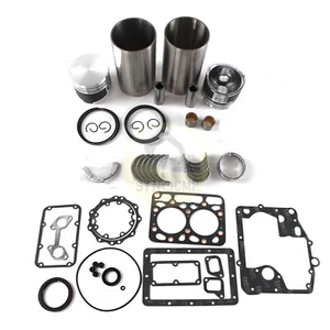 Kit de reconstrucción de revisión de motor de 2 cilindros Z600 ZB600 para tractor Kubota B4200 STD - Imagen 1 de 7