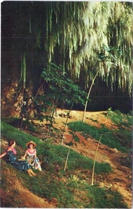 Fern Grotto Island of  Kauai Hawaii Postcard S-107 Unposted - Picture 1 of 2