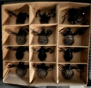 NIB Set of 12~Novogratz Black Beaded Spiders 2"x3" & 3"x 3.5" Halloween Decor - Picture 1 of 5