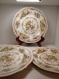Antique 1830-54 Ridgways England Apple Blossom/ Two Dinners Plates And A... - Picture 1 of 14