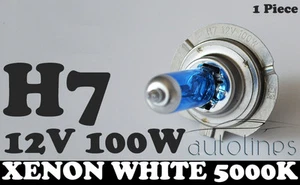 1 x H7 12V 100W Xenon White 5000k Halogen Blue Car Head Light Lamp Globes Bulbs - Picture 1 of 6