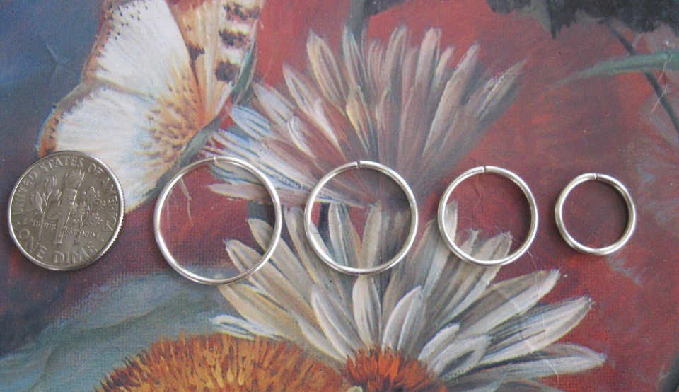 4 Silver Nose Rings  12, 14, 16 & 18 mm 20g  Endless Hoop Earrings Curated Ear - Image 1 of 1