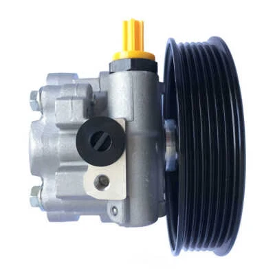 Nueva bomba de dirección asistida con polea para Mitsubishi Raider EDELMANN 2006-2007 NUEVO Foto 1 de 4