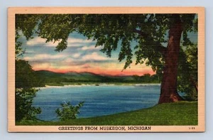 Tarjeta postal Saludos desde Muskegon Michigan L-25 sin publicar - Imagen 1 de 2