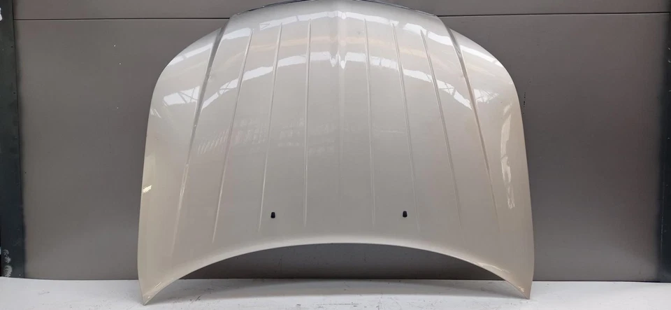 Capo para CHRYSLER SEBRING BERLINA 2.0 CRD Limited 2008 102789 - Imagen 1 de 4