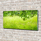 Acrylglas-Bild Wandbilder Druck 140x70 Deko Landschaften Grne Wiese