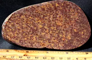 A946 ~ 5,4 Unzen sehr dicke Platte Hämatit/Quarz ~ Colorado River, Arizona - Bild 1 von 8