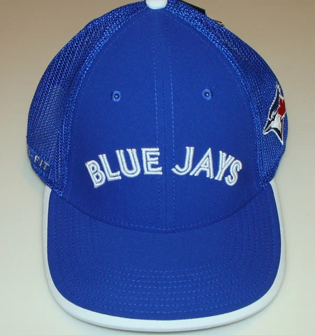 Toronto Blue Jays Cap Hat MLB Dri Fit Flex Wordmark Mesh Baseball One Size Cover