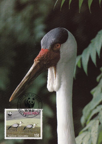 (46922) Malawi Maxicard Wattled Crane 1987 Cover