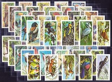 Brooke Bond UK - TROPICAL BIRDS Black Back Reprint 1974 Set Of 50 *Near Mint*