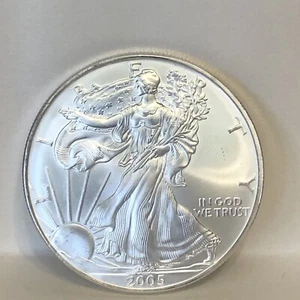 2005 AMERICAN EAGLE 1 oz SILVER COIN, BRIL UNC, VERY NICE - Picture 1 of 6