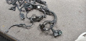 FIT       2015 Engine Wire Harness 1099265 - Imagen 1 de 3