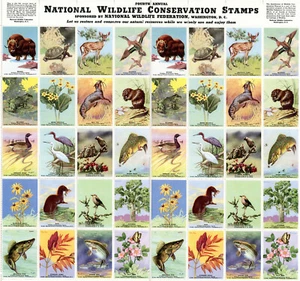 1941 National Wildlife Conservation Stamp Sheet 40 Animal Stamps MINT CONDITION - Picture 1 of 5