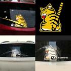 3D Cat Dog Moving Tail Stickers Style Car Windshield New Back Stickers V6T3