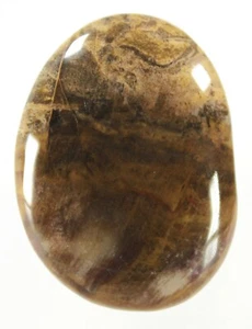 Madagascar Petrified Wood 1.1" x 1.5" Freeform Cabochon / Small Palm Stone (165) - Picture 1 of 2