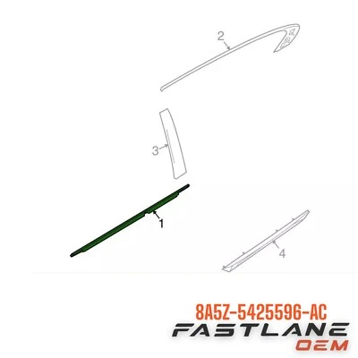 Lincoln MKS Weatherstrip 2009-2016 puerta derecha canal de vidrio nuevo OEM 8A5Z-5425596-AC Foto 1 de 4