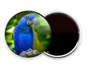 HYAZINTHE TROPISCH BLAU ARA PAPAGEI HD KÜHLSCHRANK KÜHLSCHRANK NOTIZ MAGNET GESCHENKIDEE - Bild 1 von 1