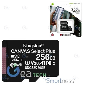 KINGSTON CANVAS SELECT PLUS MicroSd HC SDCS2 MicroSdX 256GB CL10 100MB/S - Photo 1/1