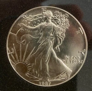 1987 American Silver Eagle, BU Condition, with Everslab Case - Picture 1 of 2