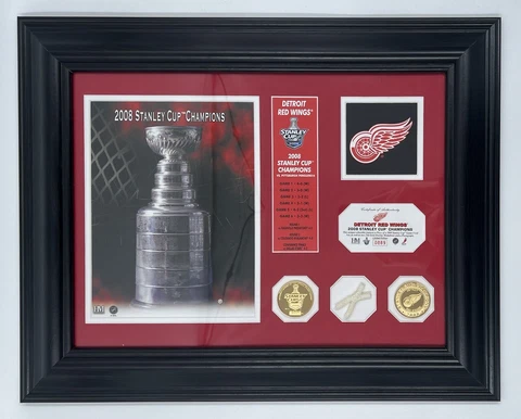 Detroit Red Wings 2008 Stanley Cup Champions Plaque #0889 Gold Coins/Game Net Cover