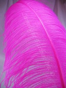 Fuchsia Ostrich Feather Plume Premium 18-24+ inch per Each - Imagen 1 de 1