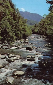 Postcard TN: Little Pigeon River, Great Smoky Mountains NP, Tennessee 1963 - Picture 1 of 2