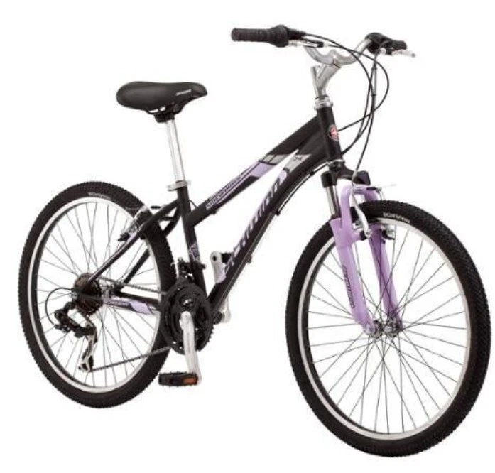 Schwinn Sidewinder 24 lavanda Foto 1 de 1