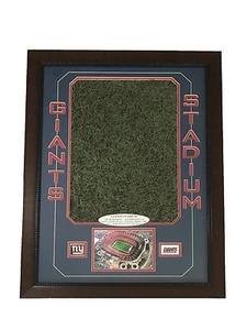 Original Giants Stadium Game Used Oversize Turf Collage #/5 COA Steiner NY Frame - Picture 1 of 5