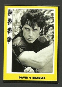 David Bradley Italian Movie TV Pop Star Model Card