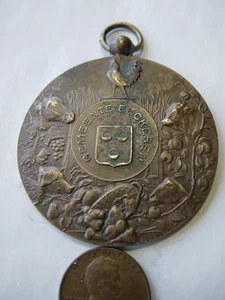 1927 Dutch Country Horticulture Expo Medal - Picture 1 of 4