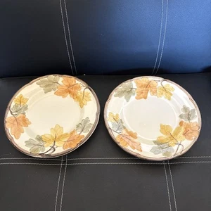 Vintage Lot of 2 Franciscan October Salad Plates 8" Retired Rare - Picture 1 of 6