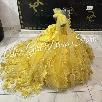 Princess Ball Gown Dress Appliques Girl Kids Skirts Birthday Party Evening Gown - Image 1 of 4