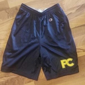 Champion Sports Shorts Size Small - Picture 1 of 2