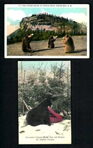 A24 The 3 bears at Indian Head, Groveton's Famous Teddy Bear & Mr. Gorman - Picture 1 of 2