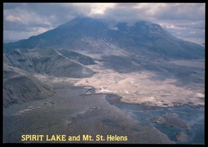 Spirit Lake and Mt. St. Helens Post Eruption Color Photo Postcard - Picture 1 of 2
