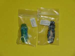 Lampwork Glass Artisan Focal Beads Handmade by Jennifer Geldard Lot of 2 NOS - Picture 1 of 11