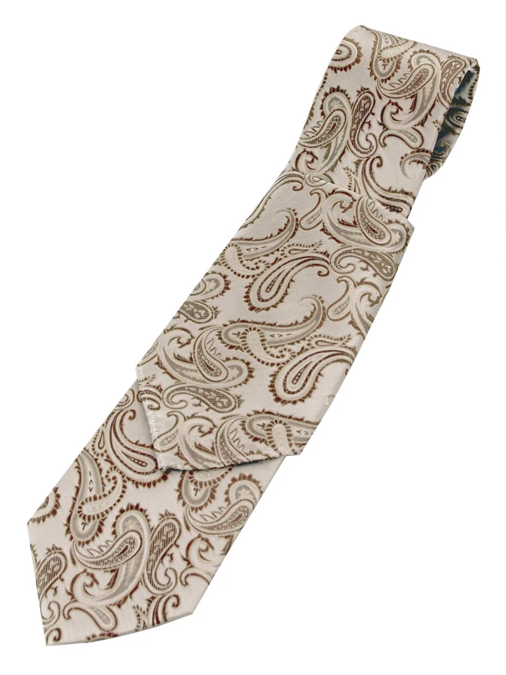 Juego de pañuelos de bolsillo y corbata de cachemira. Esmoquin de graduación carrera formal crucero regreso a casa Foto 1 de 1