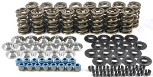 PAC Racing Springs KS031 RPM Dual LS Series Valve Spring Kit Closed Pressure: 14 - Picture 1 of 3