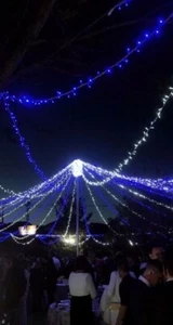 Guirnalda luces Led Azul cable Blanco 12m Navidad decoración Eventos Fiestas - Imagen 1 de 3